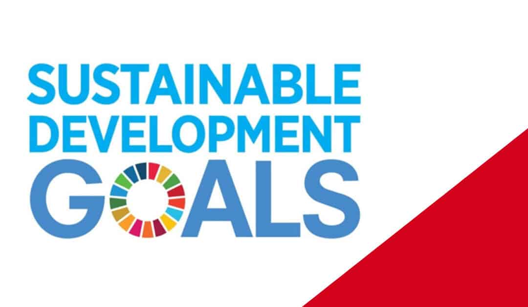 Flying Angels & gli Sustainable Development Goals